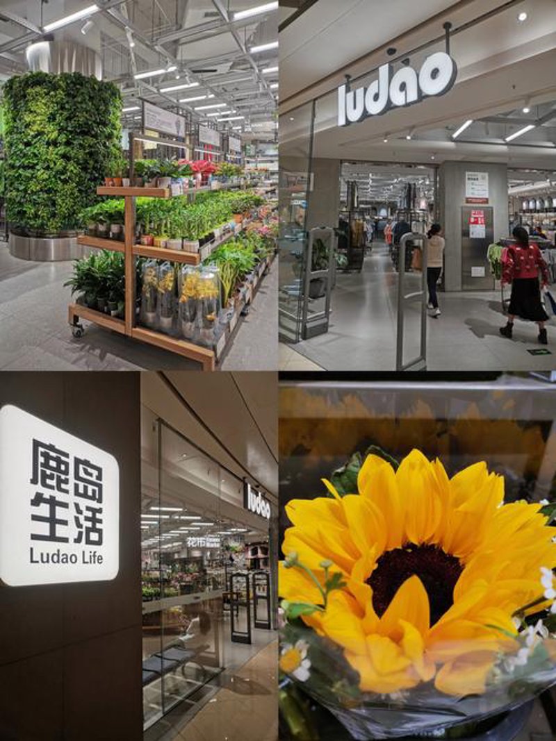 时尚前沿：女装批发行业最新趋势